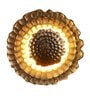 Astros Metal LED Novelty Wall Light (Gold)