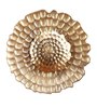 Astros Metal LED Novelty Wall Light (Gold)