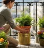 Golden Metallic Round Radiant Stripes Planter