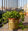 Golden Metallic Round Radiant Stripes Planter