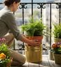Golden Metallic Round Radiant Stripes Planter