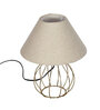 Golden Modren Wire Cage Table Lamp with Fabric Shade