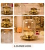 Golden Premium Akhand Jyoti Diya 250ml