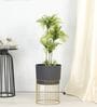 Golden Ridge Large Black & Gold Metal Planter