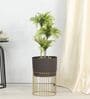 Golden Ridge Large Brown Metal Planter (Brown)