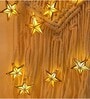Golden Star Warm White 14 LEDs 5 Mtrs Moroccon Copper LED String Light