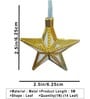 Golden Star Warm White 14 LEDs 5 Mtrs Moroccon Copper LED String Light