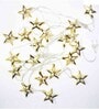 Golden Star Warm White 14 LEDs 5 Mtrs Moroccon Copper LED String Light