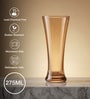 Golden Tall Cocktail Glass Set of 6