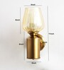 Golden Tulip Glass Brass Wall Mounting Light