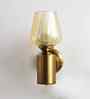Golden Tulip Glass Brass Wall Mounting Light