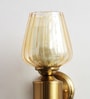Golden Tulip Glass Brass Wall Mounting Light