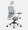 Golf High Back Breathable Mesh Ergonomic Chair with Adjustable Lumbar Support & Handles In White Colour
