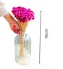 Gomphera Dark Pink  Set of 25 Stems Natural Dried Flowers