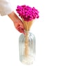 Gomphera Dark Pink  Set of 25 Stems Natural Dried Flowers