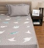 Gondi Cotton 300TC King Size Bedsheet With 2 Pillow Covers