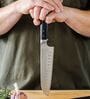 Gourmet  Multicolor Metal Knife