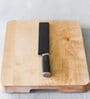 Gourmet  Multicolor Metal Knife