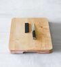 Gourmet Multicolor Steel Peeling Knife