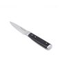 Gourmet Multicolor Steel Peeling Knife