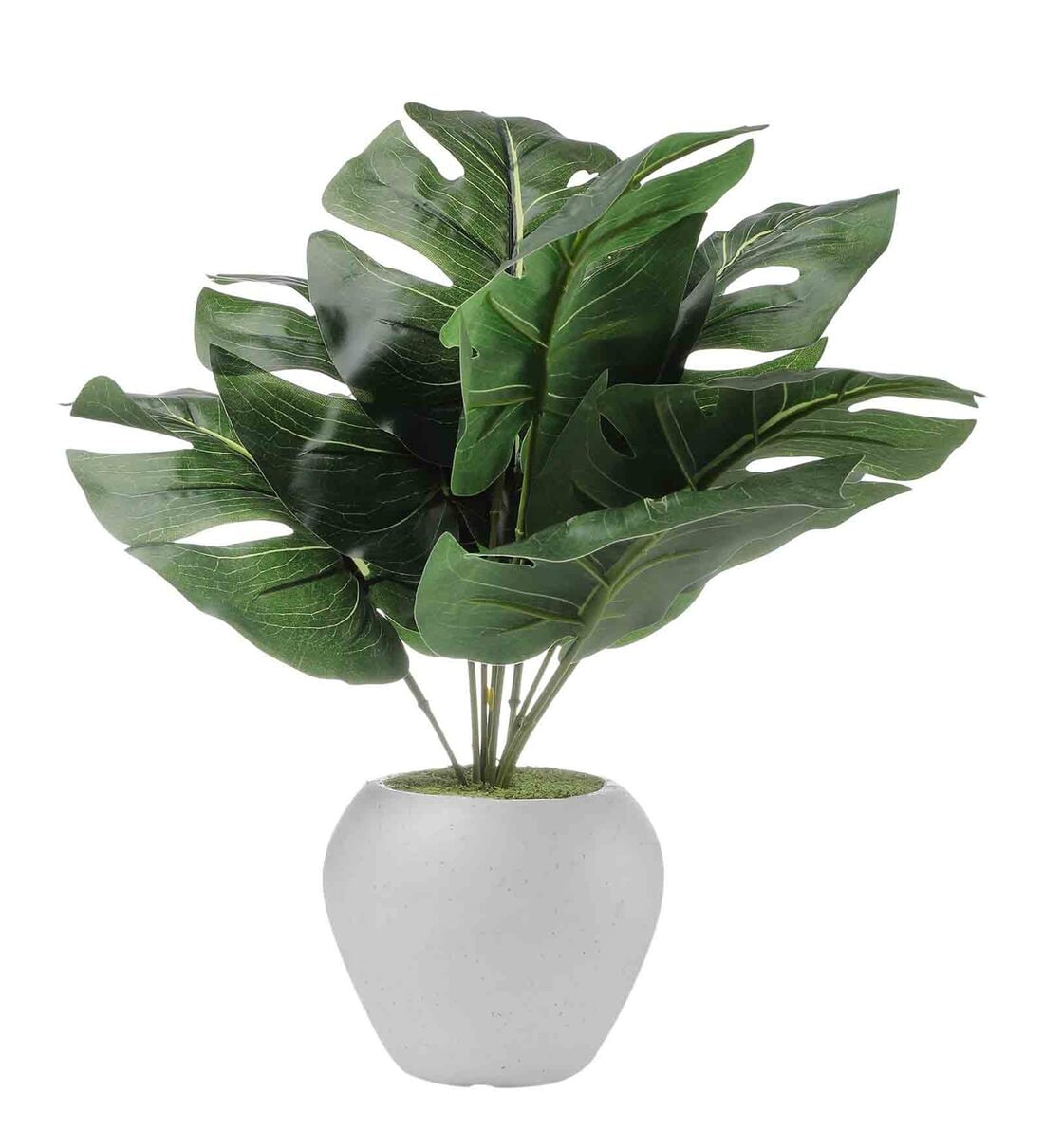 Buy Green 9 Large Leaves Artificial Money Plant with Pot by Foliyaj