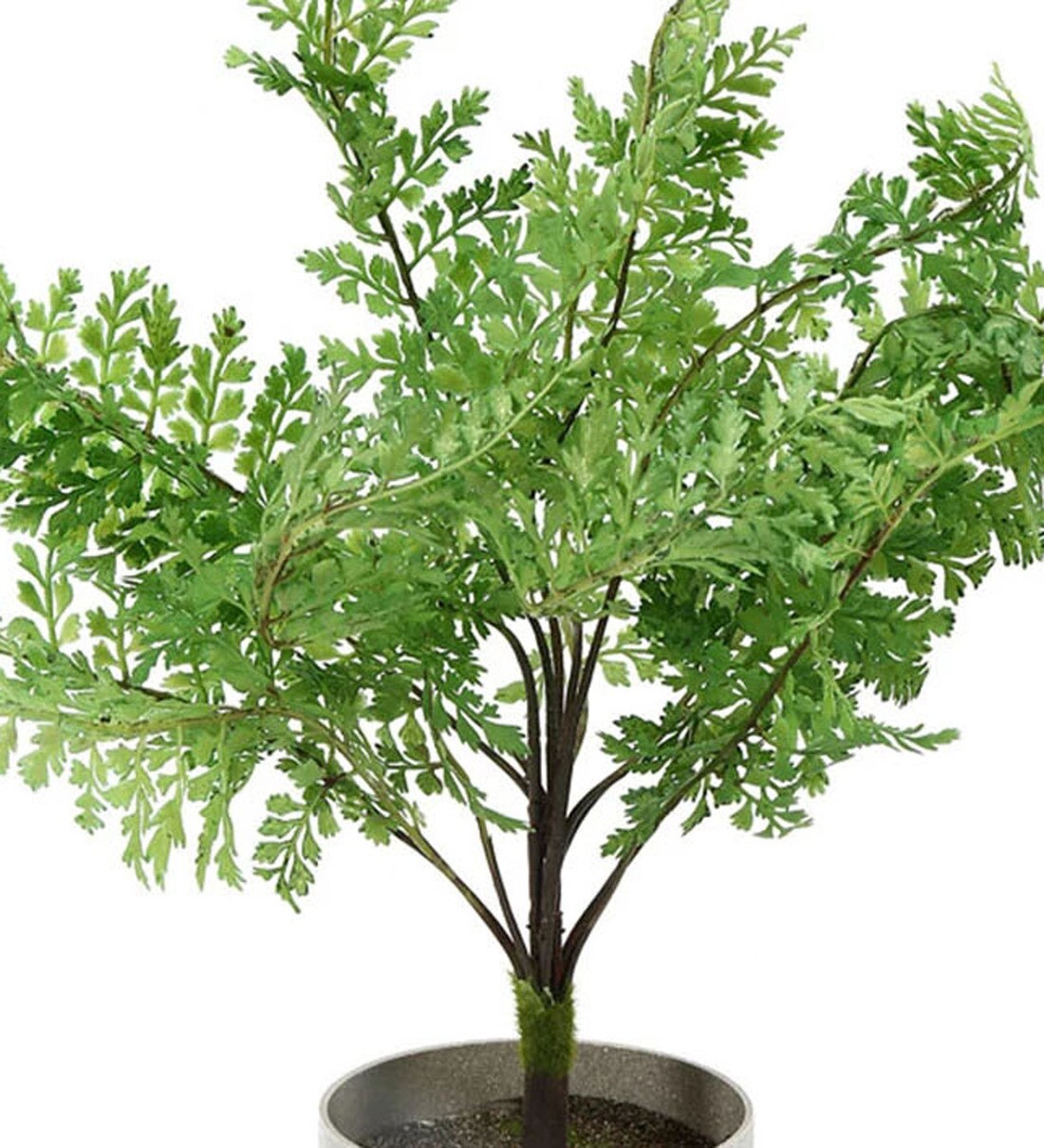 Buy Green Fabric Artificial Real Touch Fern Bonsai Potted Plant by Fourwalls Online Artificial