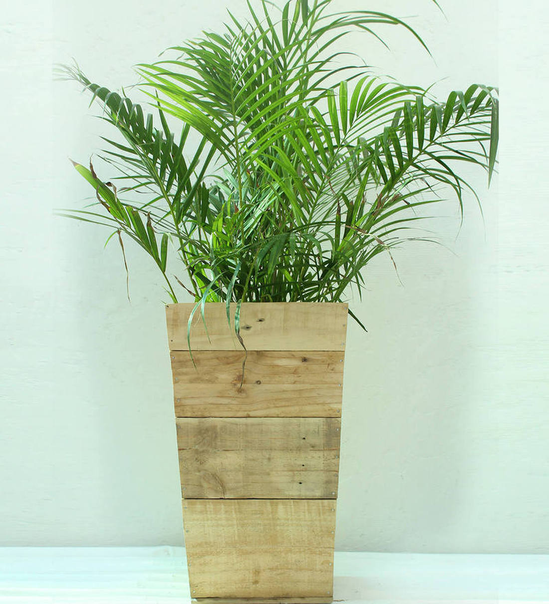 Buy Multicolor Large Wooden Slap Planter by Green Gardenia Online Big