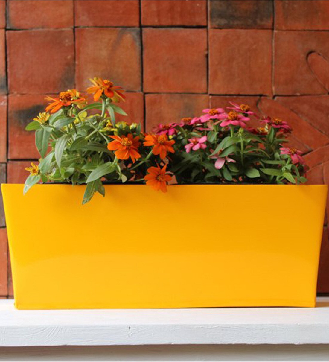 Buy Yellow Rectangular Box Planter by Green Gardenia Online Big