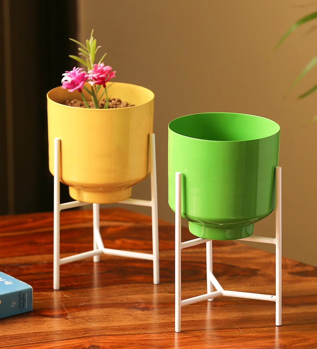 Buy Green and Yellow Iron \The Glossy Cylindrical\ Planter Pots With ...