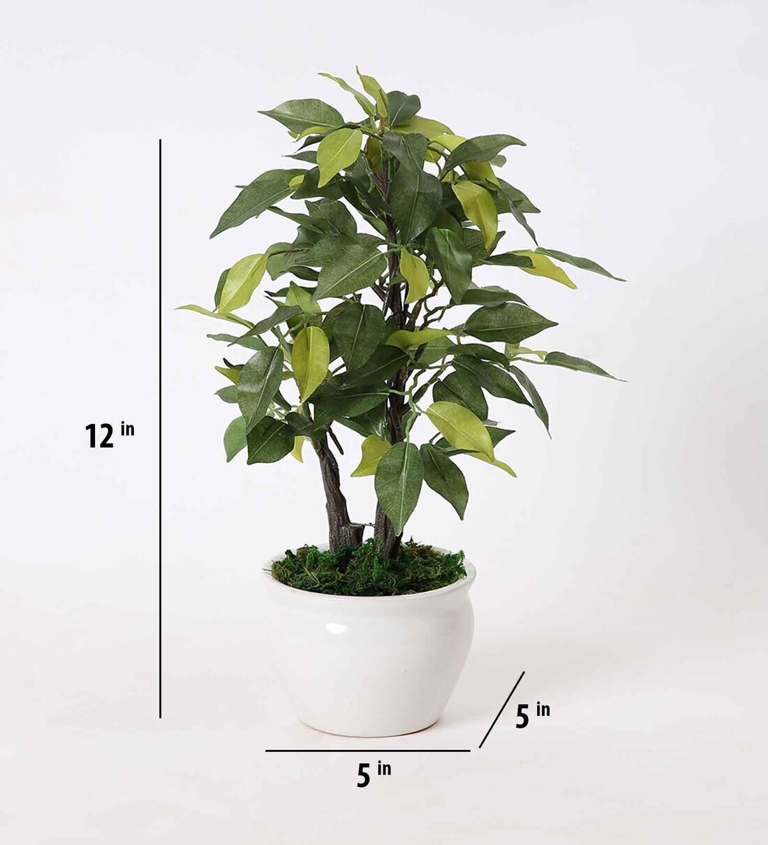 Buy Plastic Green Ficus Bonsai With Ceramic Pot Artificial Plants