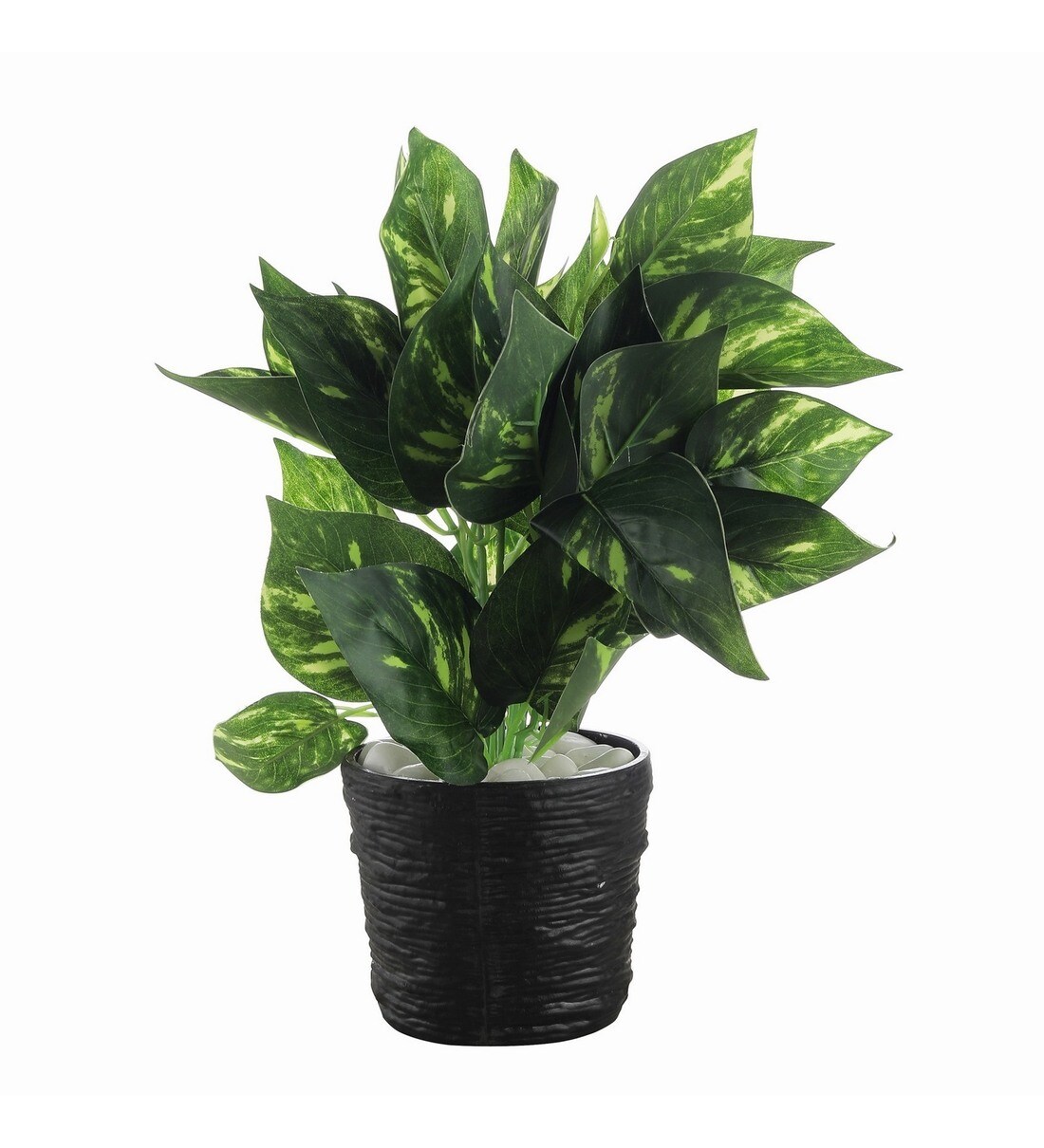 Buy Green Polyester Artificial Money Plant with 45 Leaves in Black