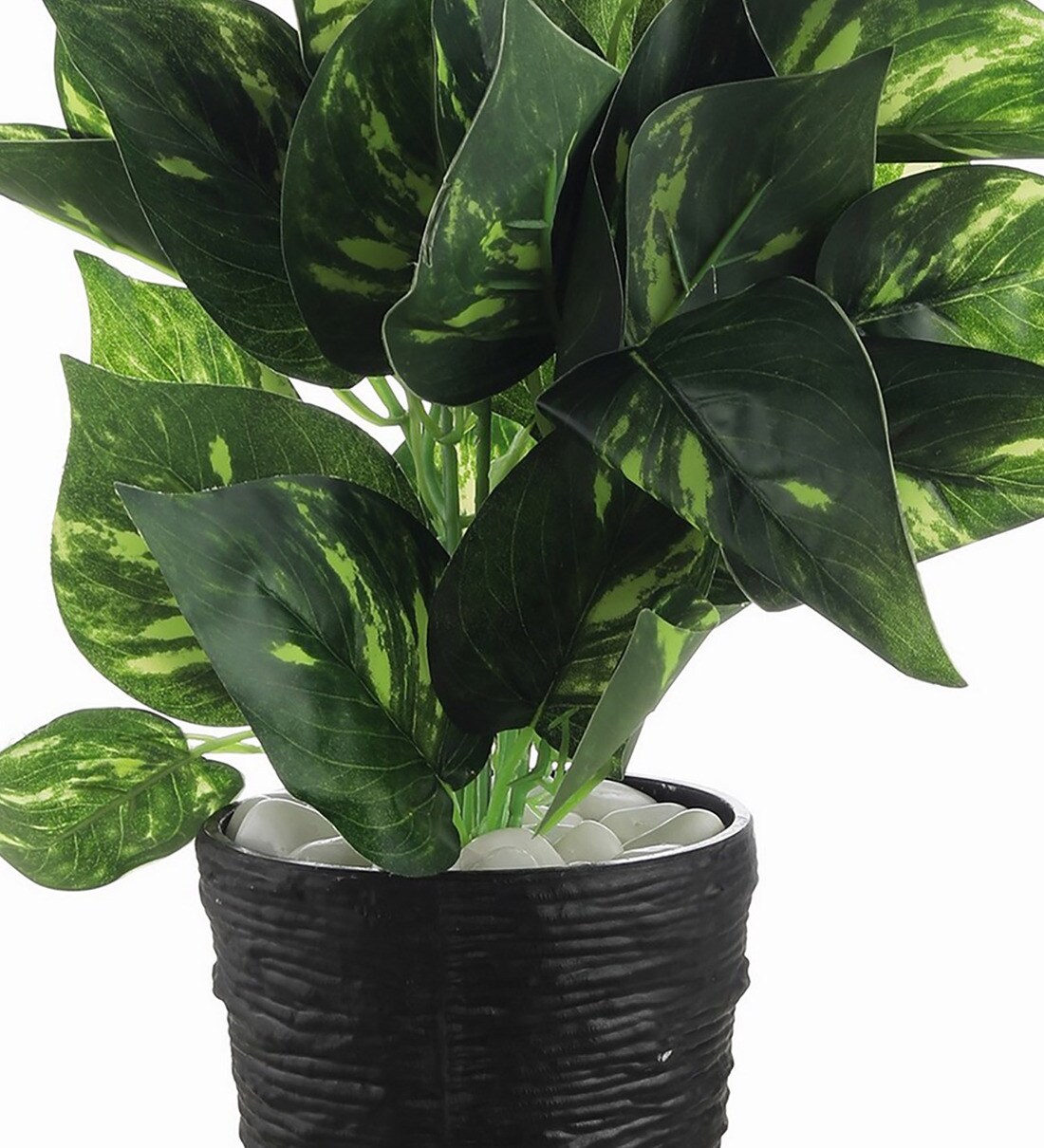 Buy Green Polyester Artificial Money Plant with 45 Leaves in Black
