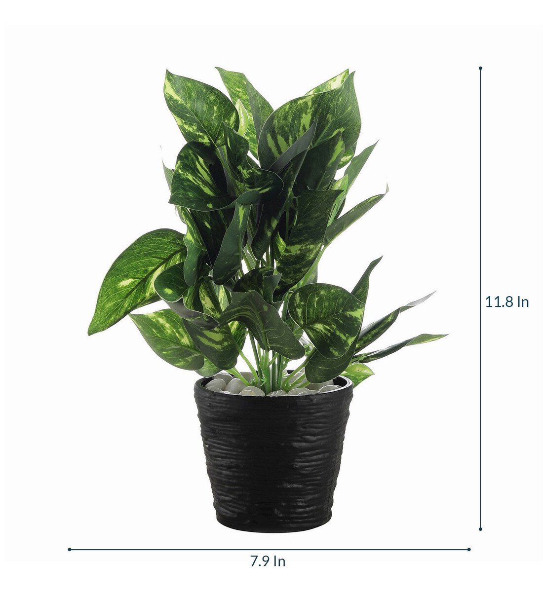 Buy Green Polyester Artificial Money Plant with 45 Leaves in Black