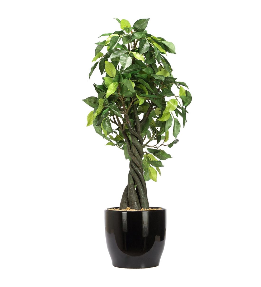 Buy Green Polyester Ficus Bonsai Artificial Plant With Ceramic Vase By