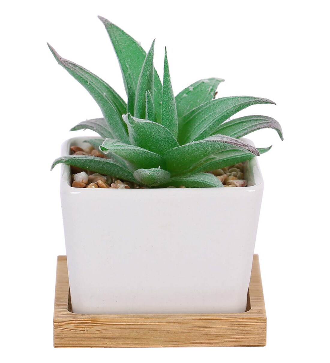 Buy Green Polyurethane Artificial Succculent Plant in Ceramic Pot by