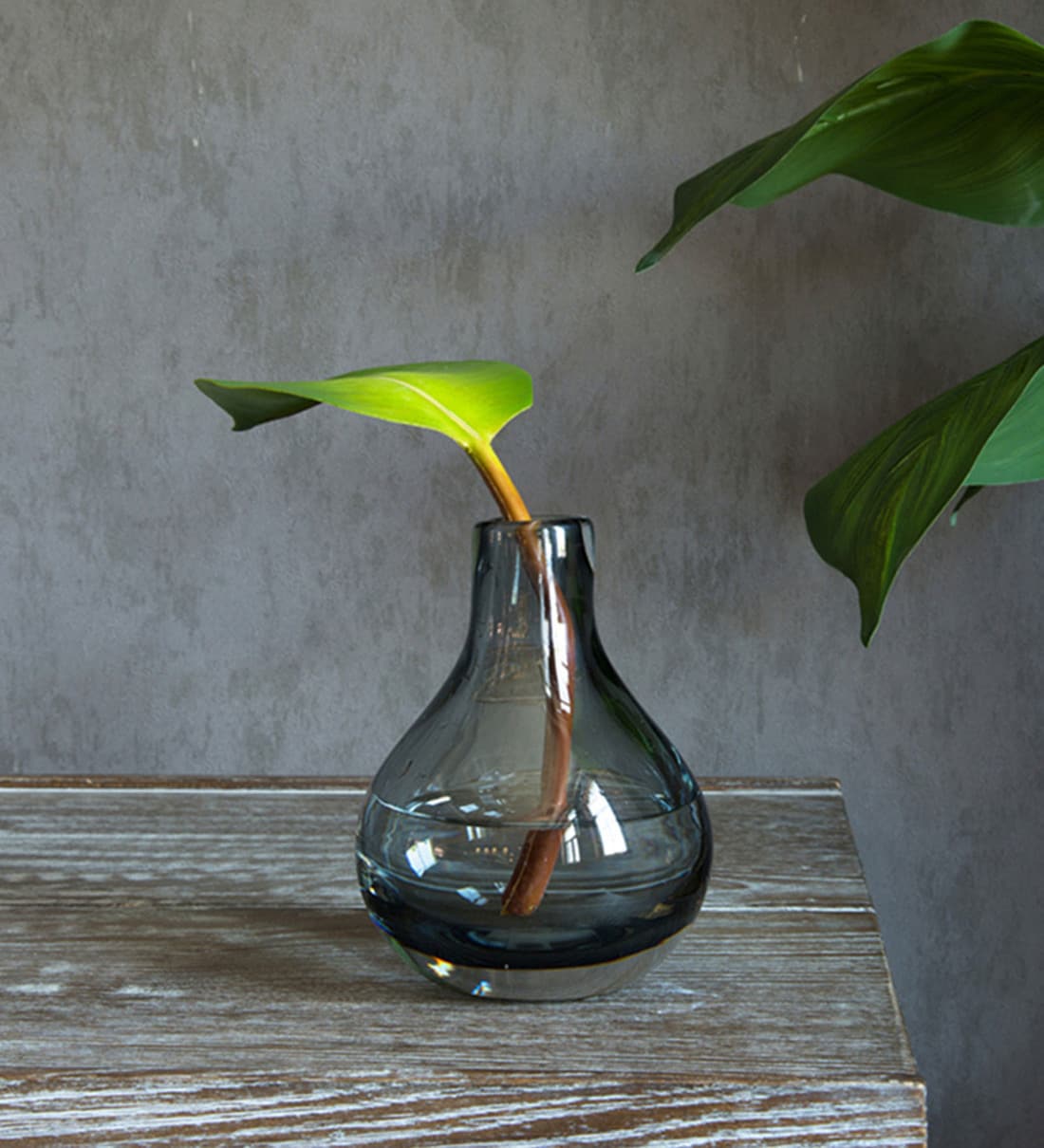 Buy Grey Glass Vase by Casamotion Online Modern and Contemporary Vases Vases Home Decor