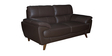Graceful 2 Seater Sofa in Brown Colour