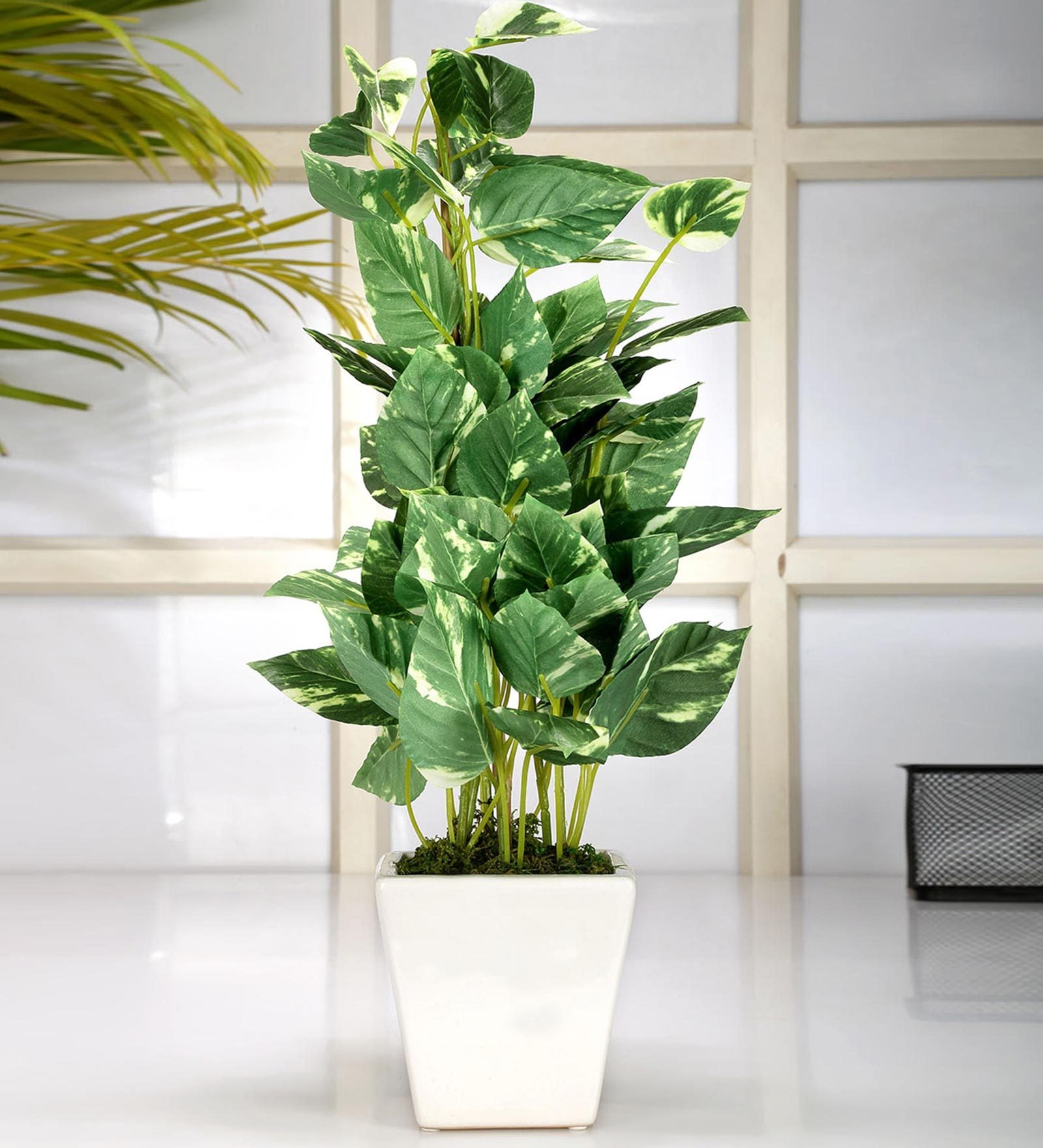Polyester Green & White Pothos With Ceramic Pot Artificial Plants