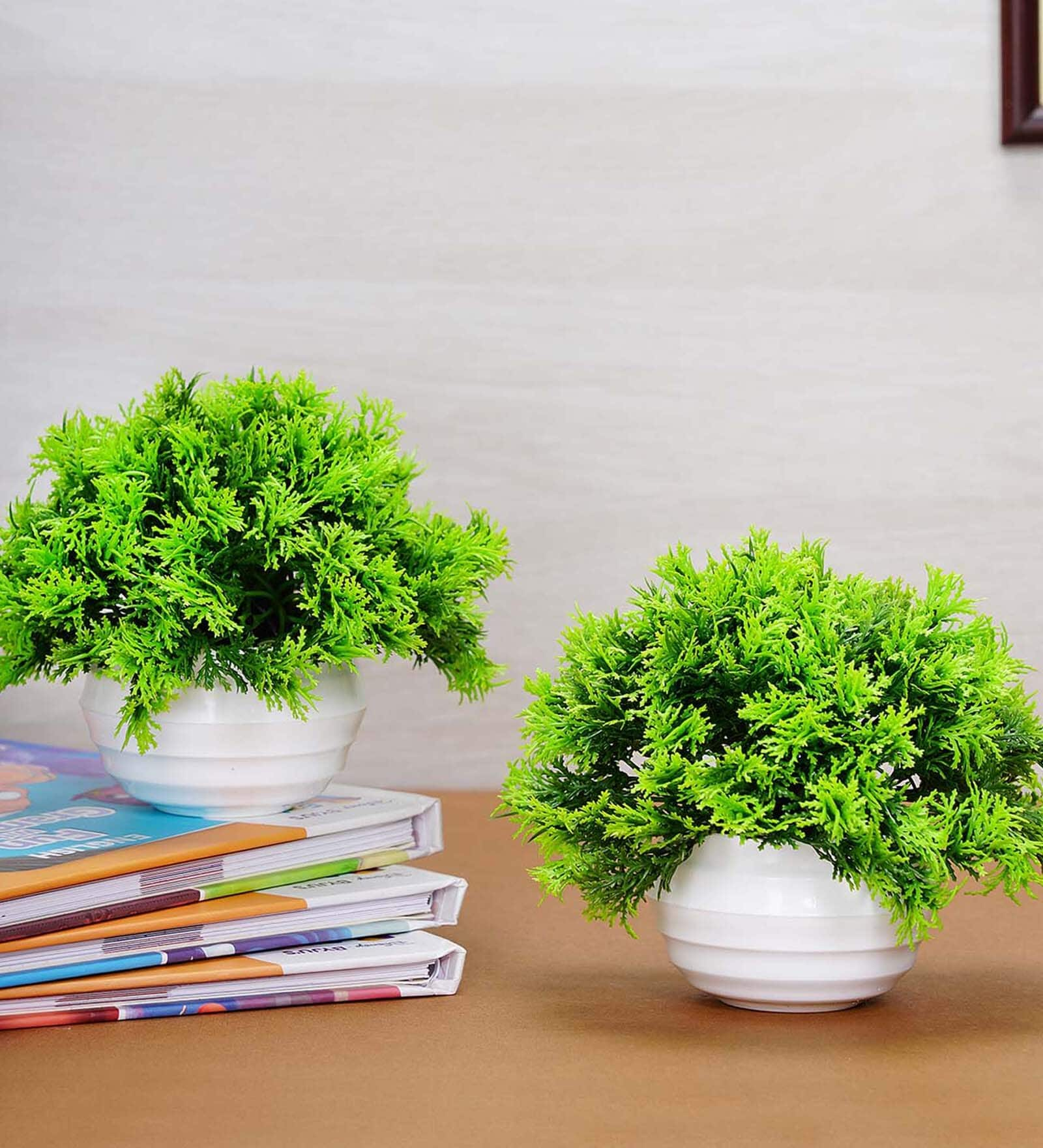 Buy Fabric & Plastic Daze Green With Pot Set Of 2 Artificial Plant at ...