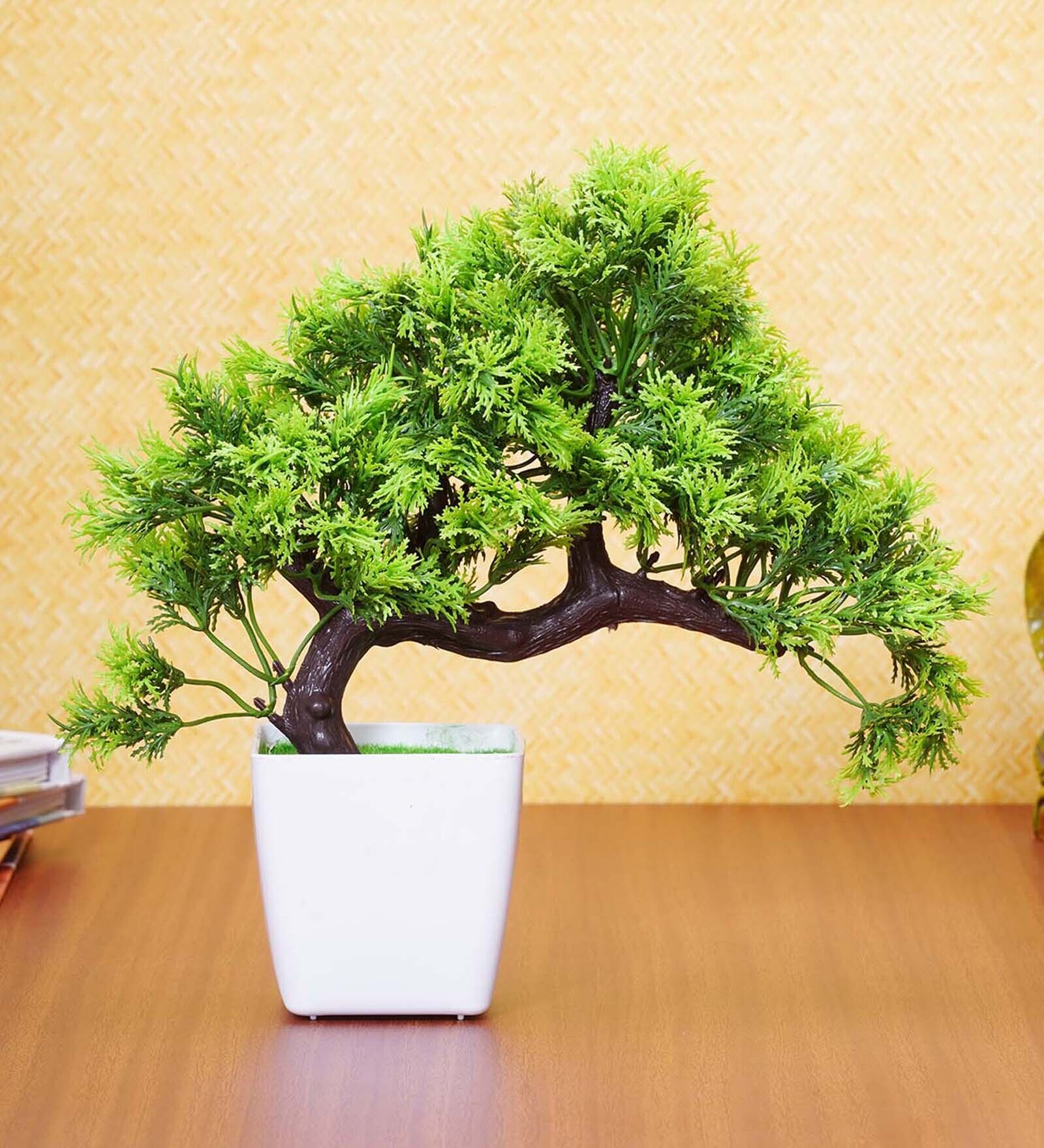 Fabric & Plastic Ams Green With Pot Artificial Plant