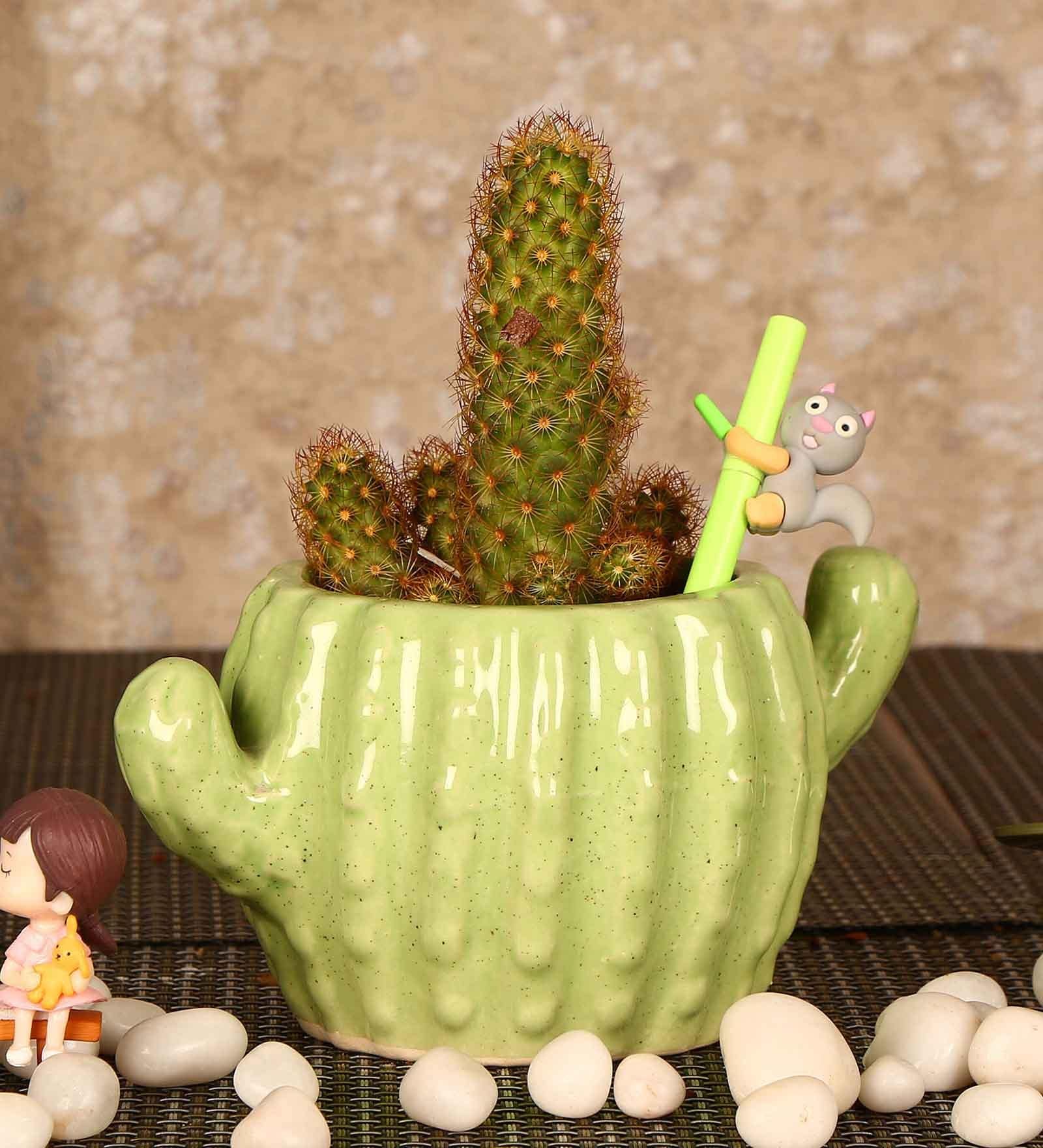 Green Ceramic Cactus Shape Flower Pot