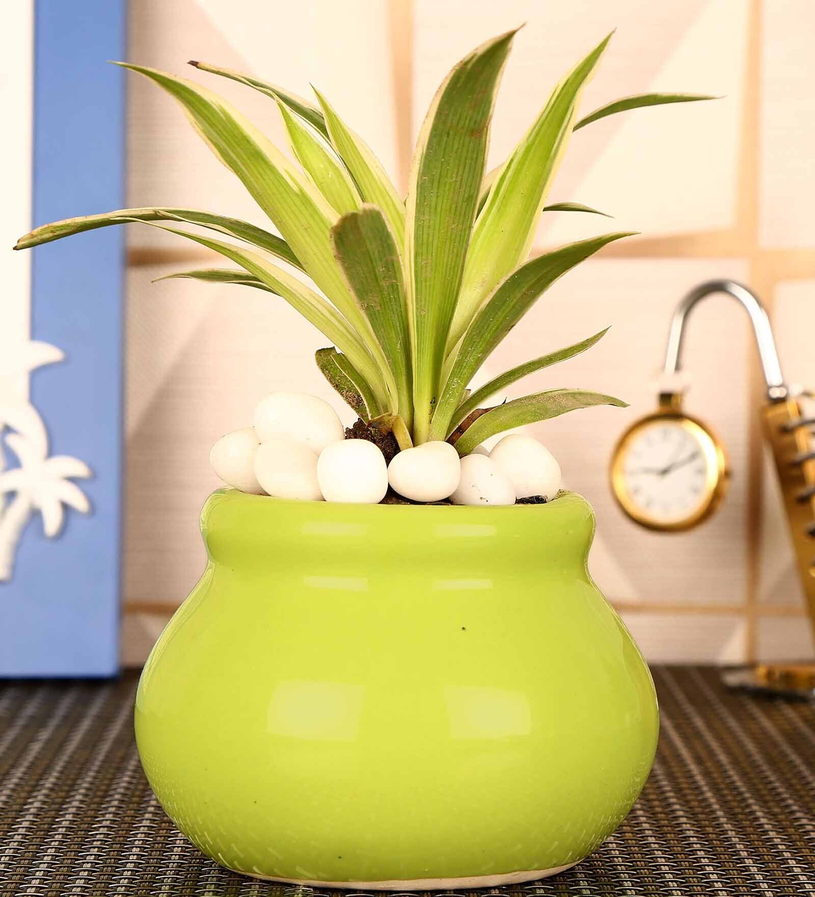 Green Ceramic Desk Pot