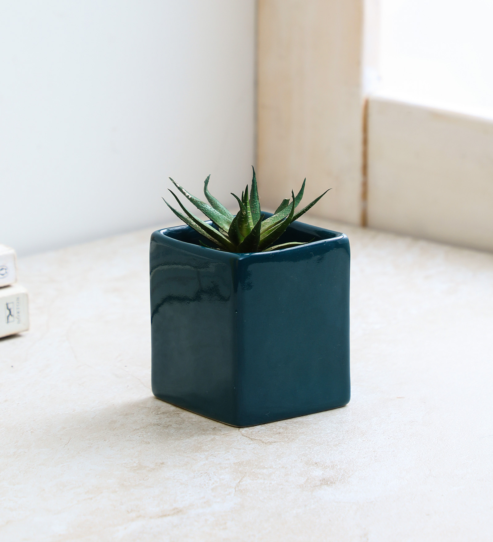 Green Ceramic Square Shape Table Top Planter