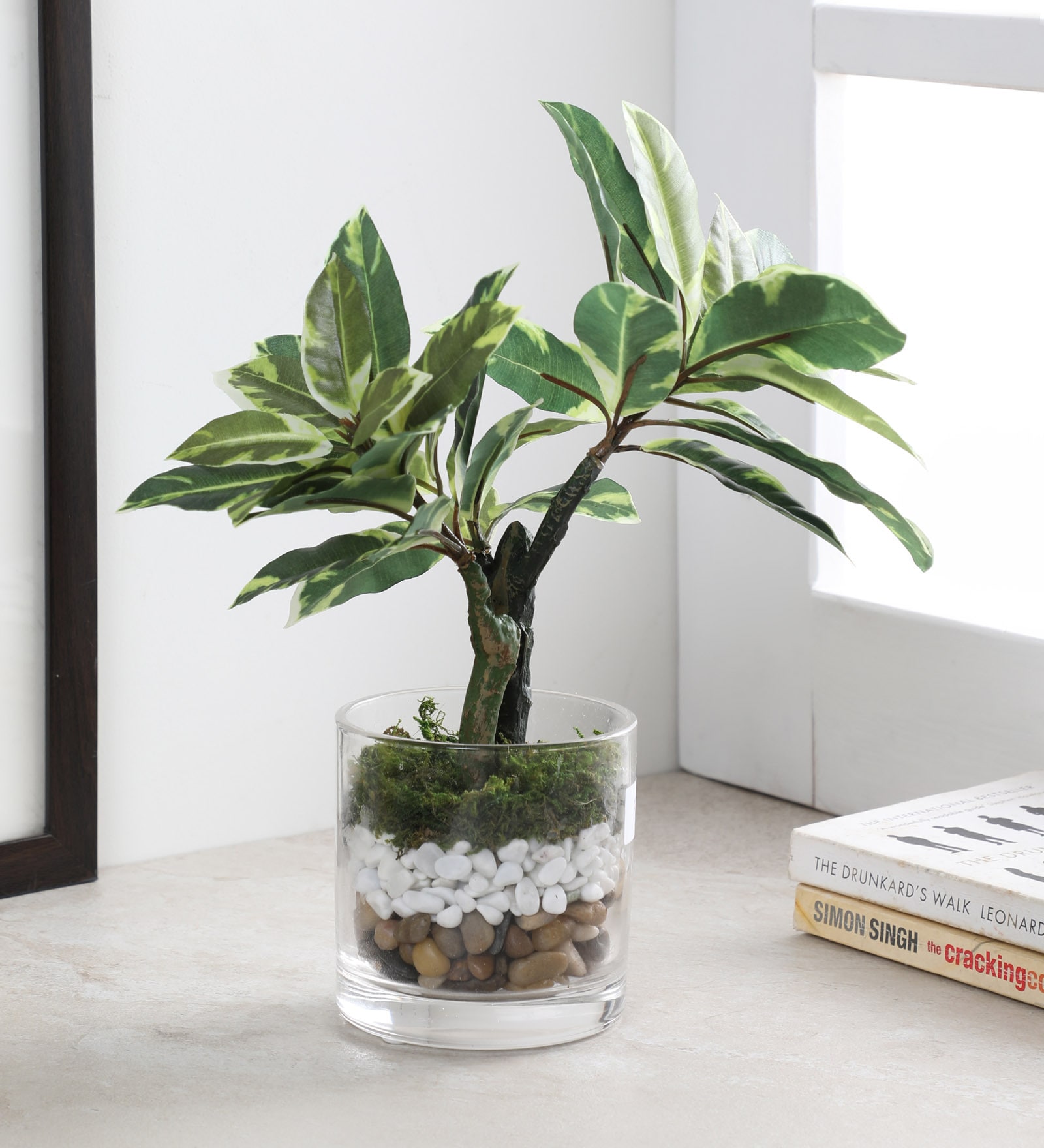 Buy Green Fabric Artificial Quercus Plant in a Glass Vase by Fourwalls