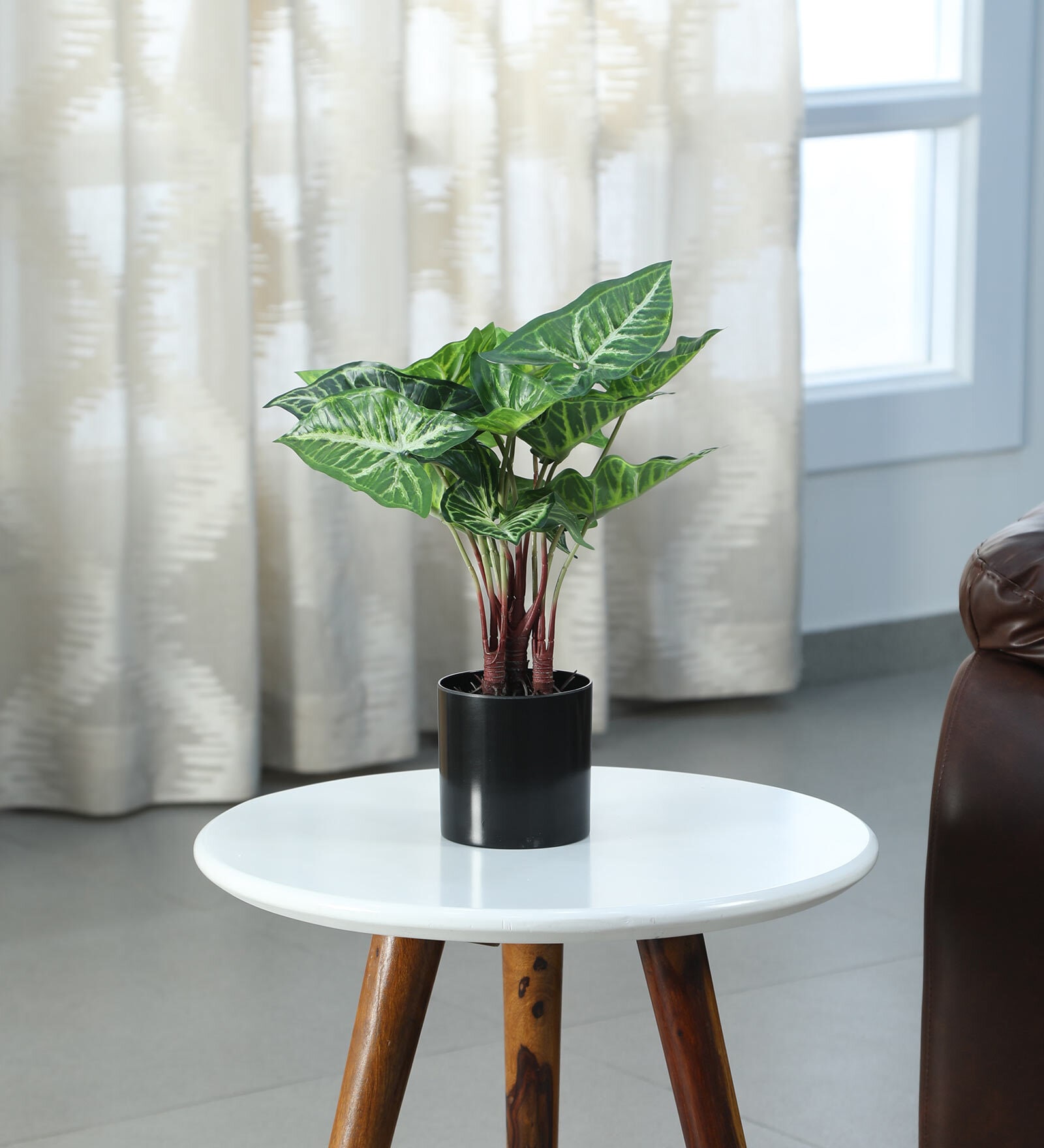 Buy Plastic Green Philodendron Artificial Plants at 13 OFF by