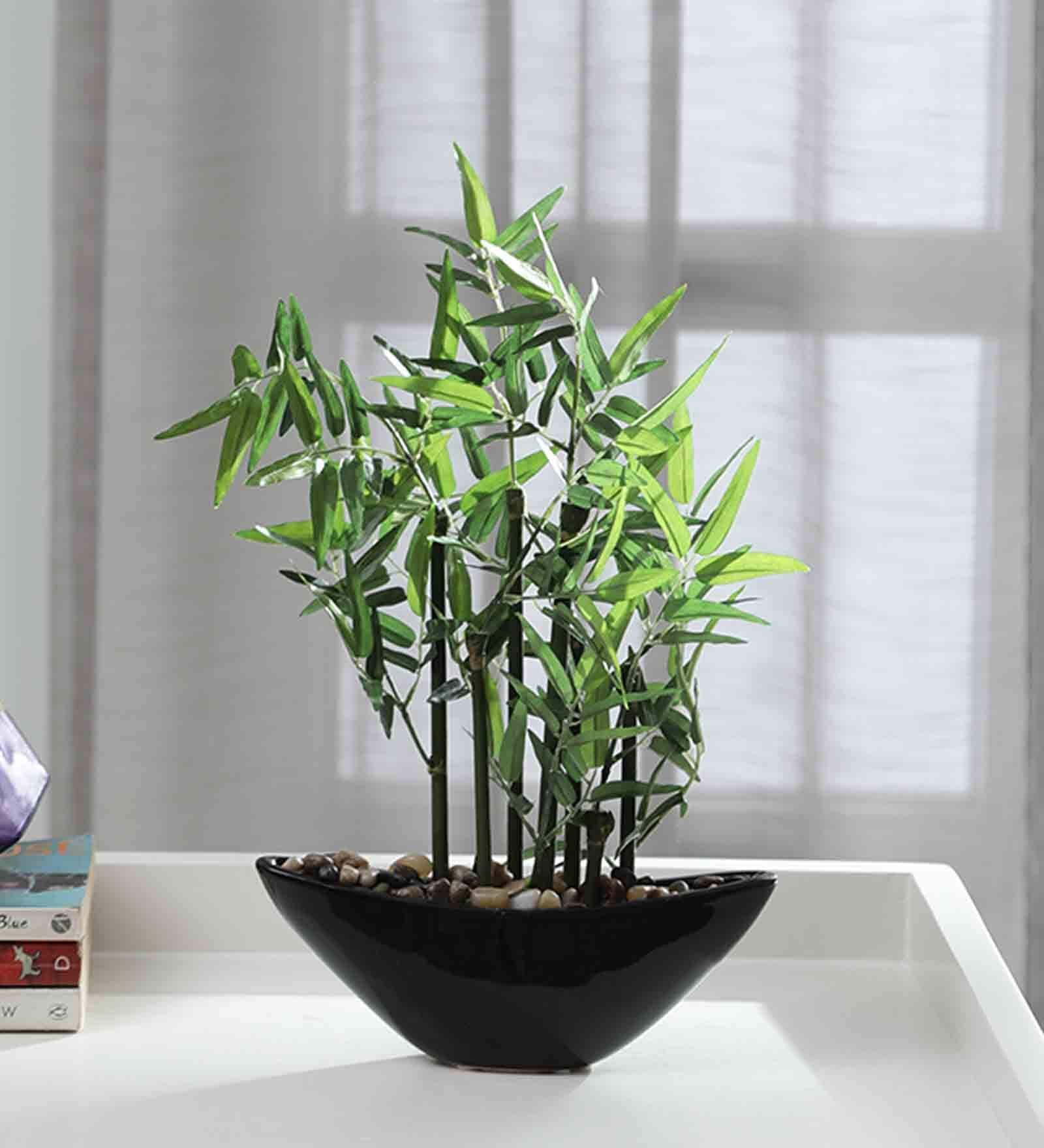 Plastic Wade Green Bonsai Artifical With Pot Artificial Plant