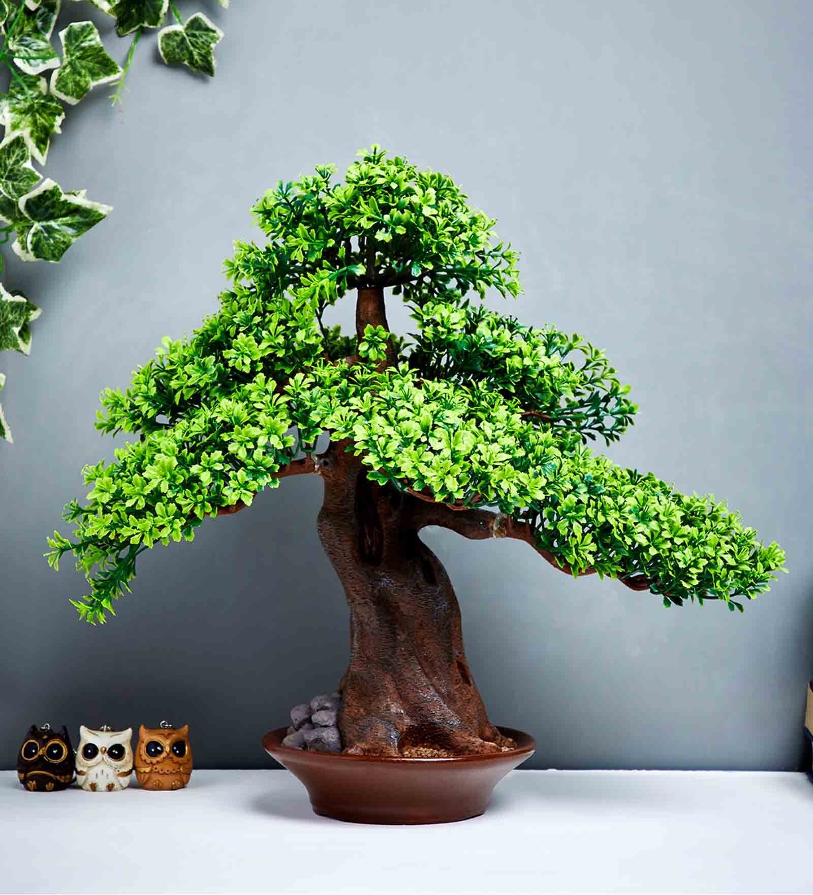 Buy Plastic Isabel Green Bonsai With Resin Pot By Oddcroft Artificial