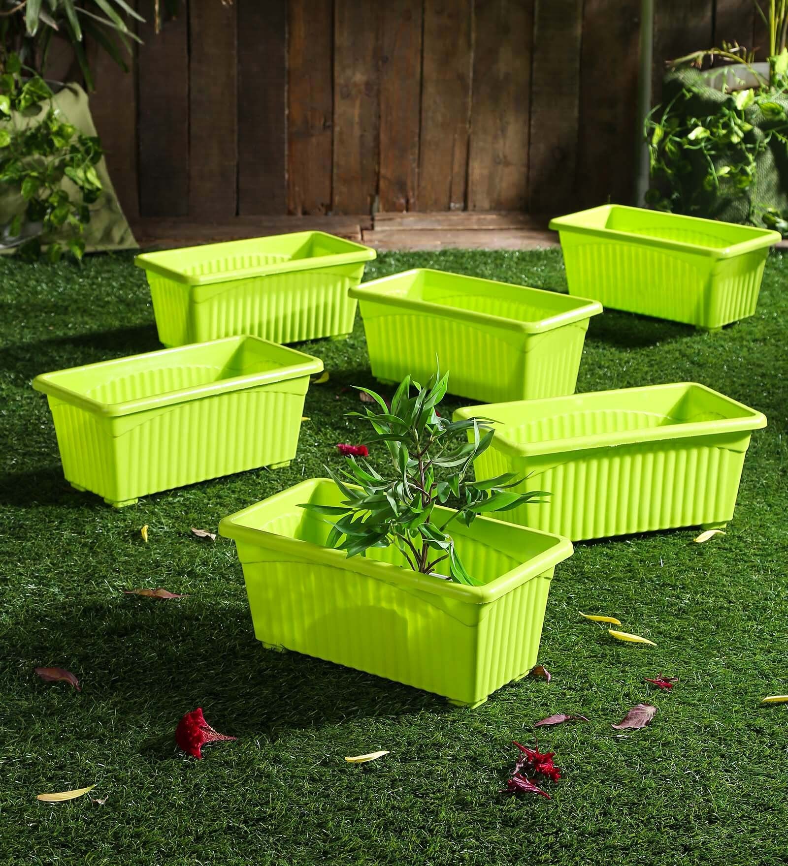 Buy Green Plastic Planter Set Of 6 By Meded at 27 OFF by Meded