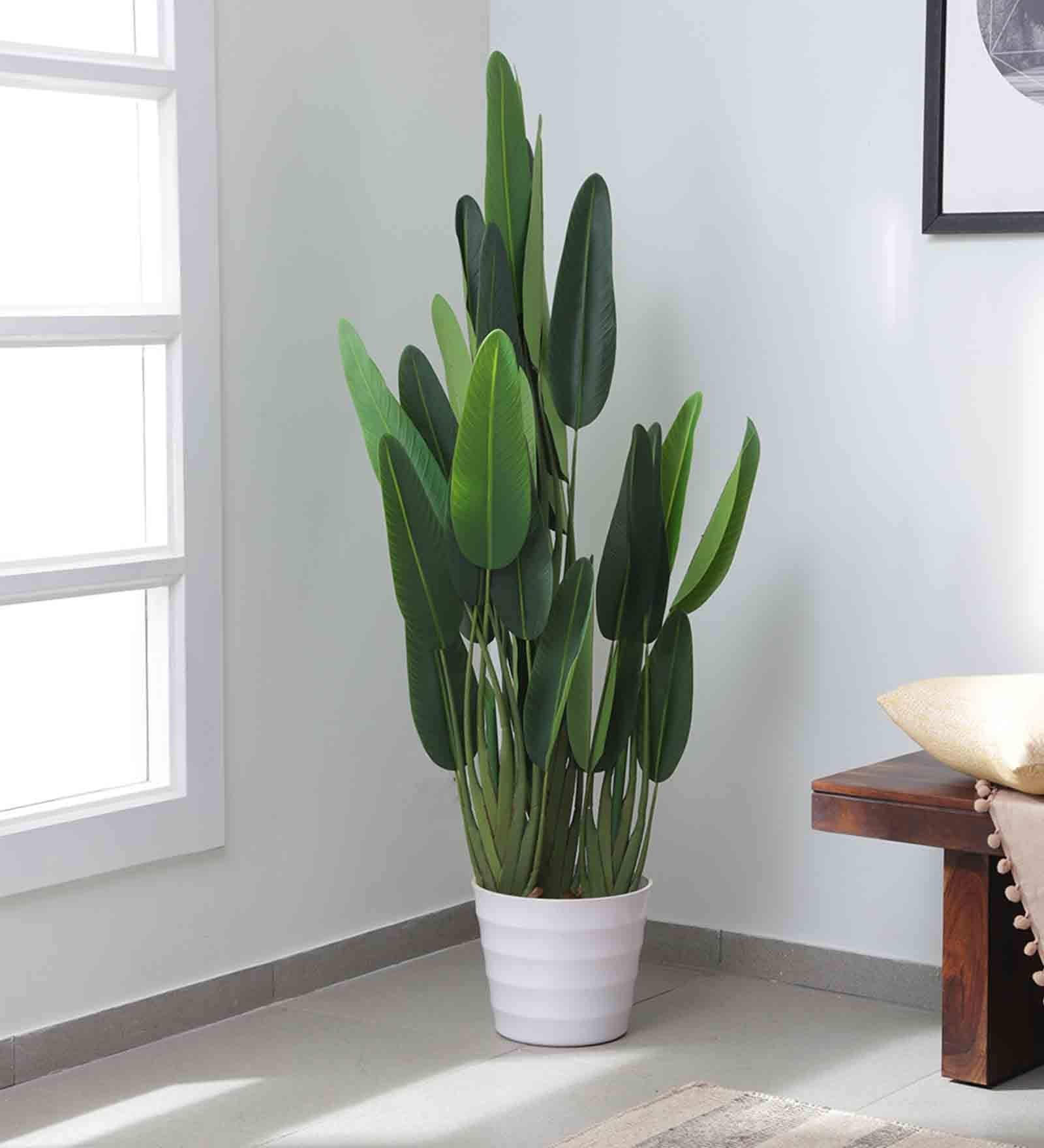 Plastic Phoebe Green Strelitzia Artifical Without Pot Artificial Plant