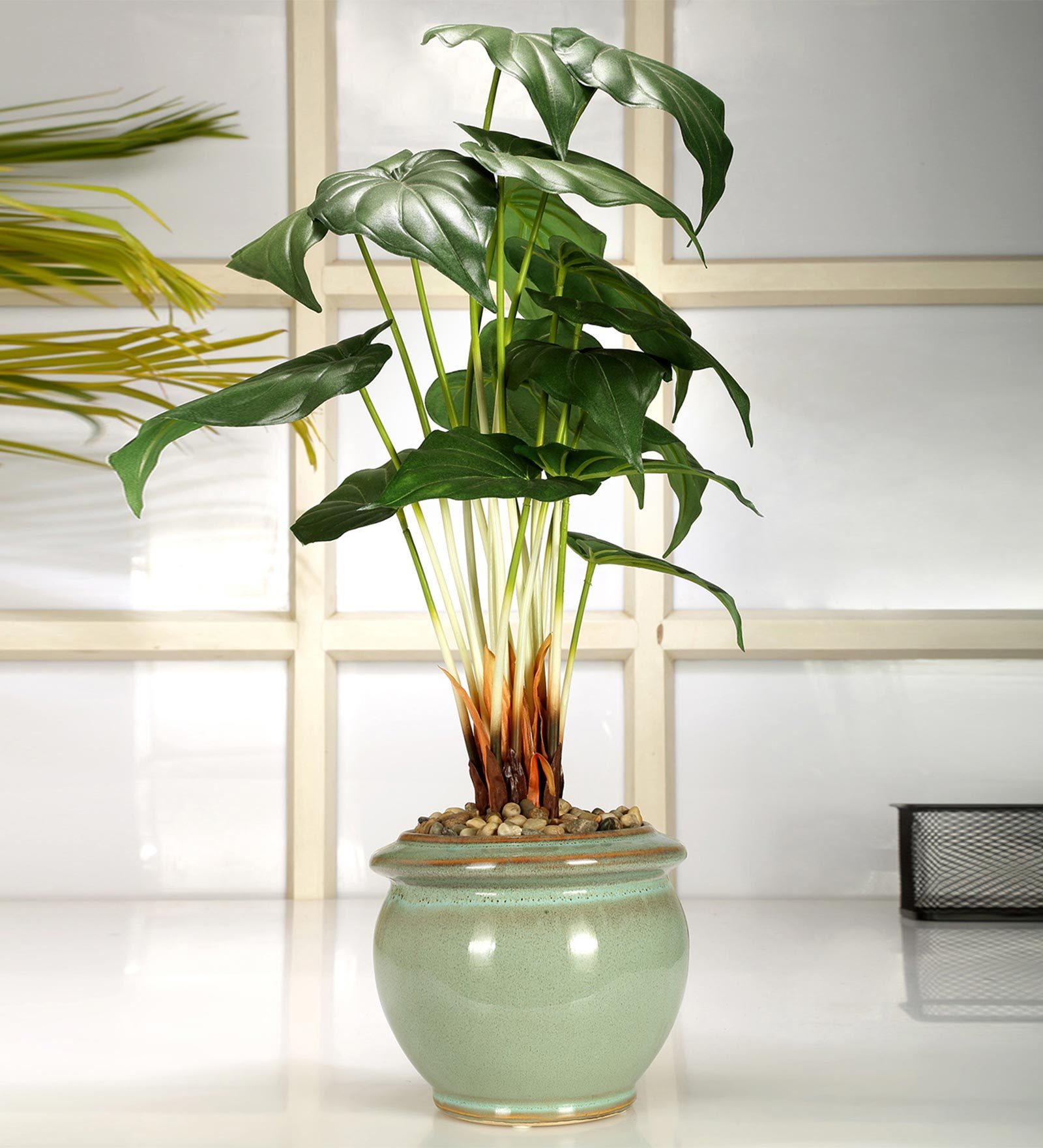 Buy Green Polyester Alocosia Bonsai Artificial Plant With Ceramic Vase